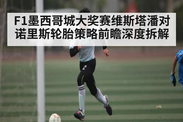F1墨西哥城大奖赛维斯塔潘对诺里斯轮胎策略前瞻深度拆解 | Xingkong yule